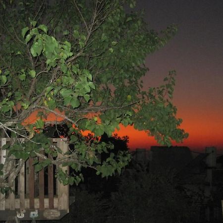 The House By The Mulberry Tree Lejlighed Neve Ilan Eksteriør billede
